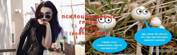 прущая мука Белокуриха
