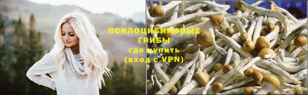 гидра Белоозёрский