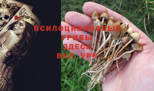 прущая мука Беломорск