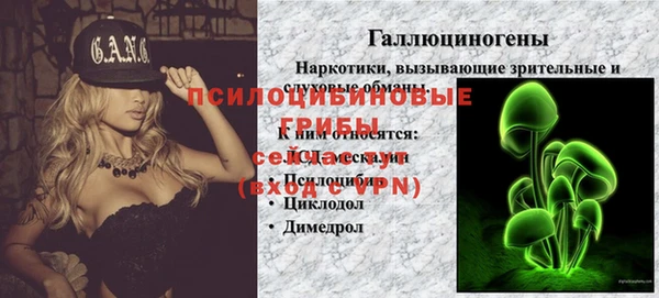 гидра Белоозёрский