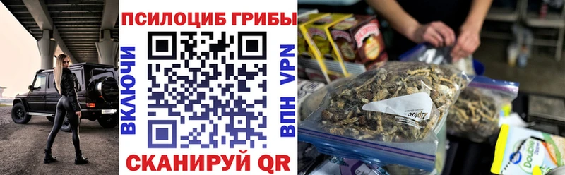 Галлюциногенные грибы Psilocybine cubensis  Можга 