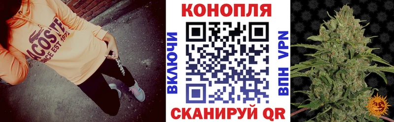 Канабис VHQ цены гидра зеркало Можга